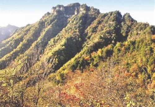 探秘林区 自驾旅游线路推荐之神农架