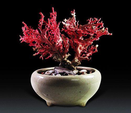 海南体味初夏温暖 海南自驾全攻略\(6\)