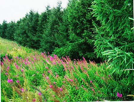 周末不休息来个经典京郊游 挑个好线路去实践