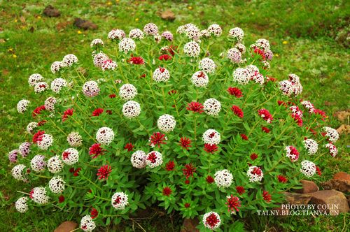 提前定计划 秋季绝美出游地推荐(图)
